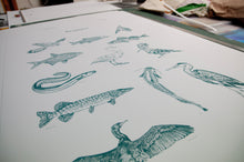 Charger l'image dans la galerie, Bestiaire de Loire - émeraude
