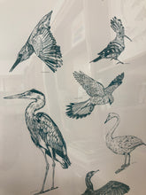 Charger l'image dans la galerie, Bestiaire de Loire - les oiseaux