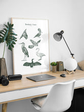 Charger l'image dans la galerie, Bestiaire de Loire - les oiseaux