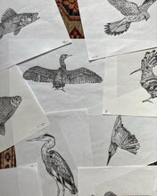 Charger l&#39;image dans la galerie, Bestiaire de Loire - les oiseaux
