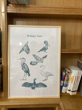 Charger l&#39;image dans la galerie, Bestiaire de Loire - les oiseaux
