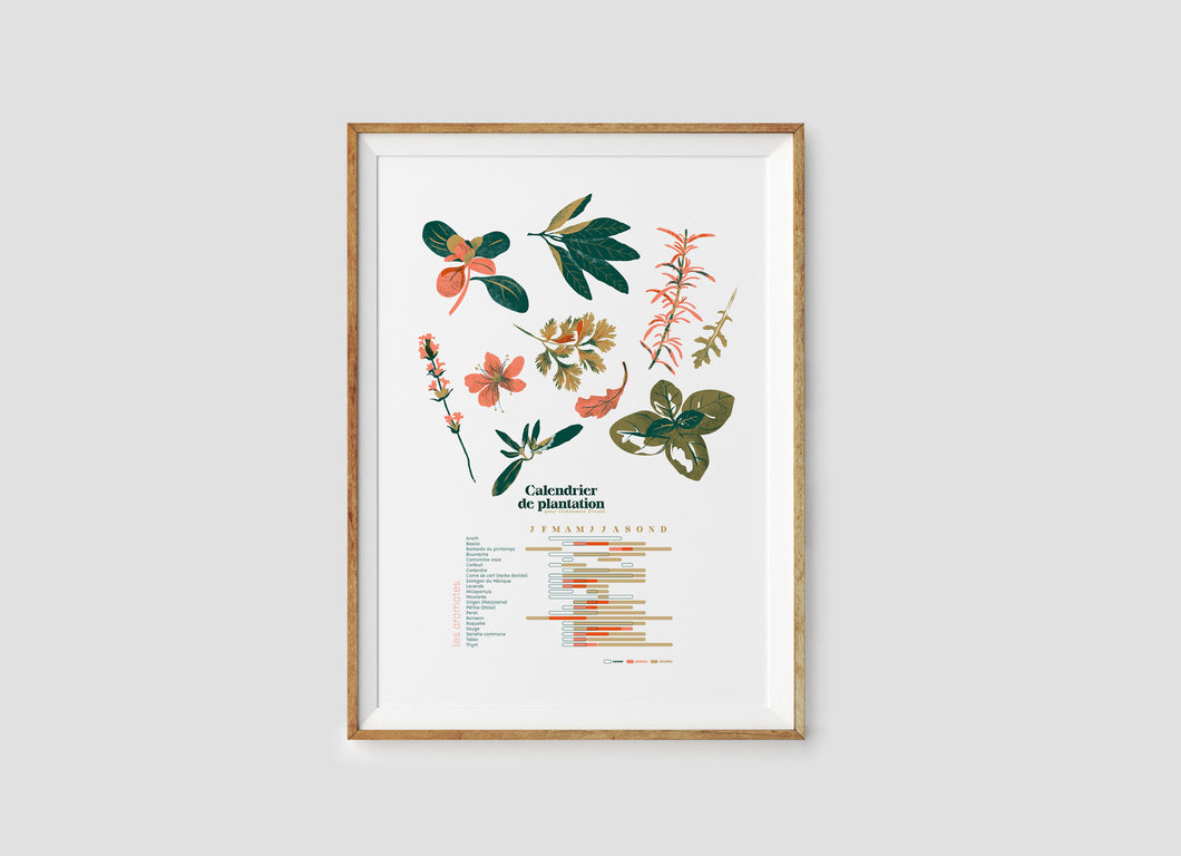 Affiche Calendrier de plantations de plantes aromatiques