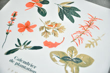 Charger l&#39;image dans la galerie, Affiche Calendrier de plantations de plantes aromatiques
